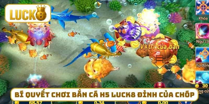 Bí quyết chơi bắn cá H5 LUCK8 đỉnh của chóp