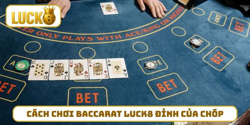 Cách chơi Baccarat LUCK8 đỉnh của chóp